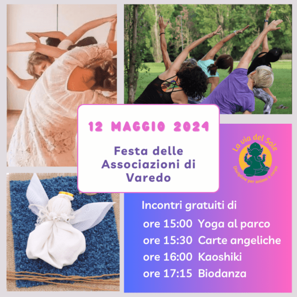 Festa delle associazioni di Varedo