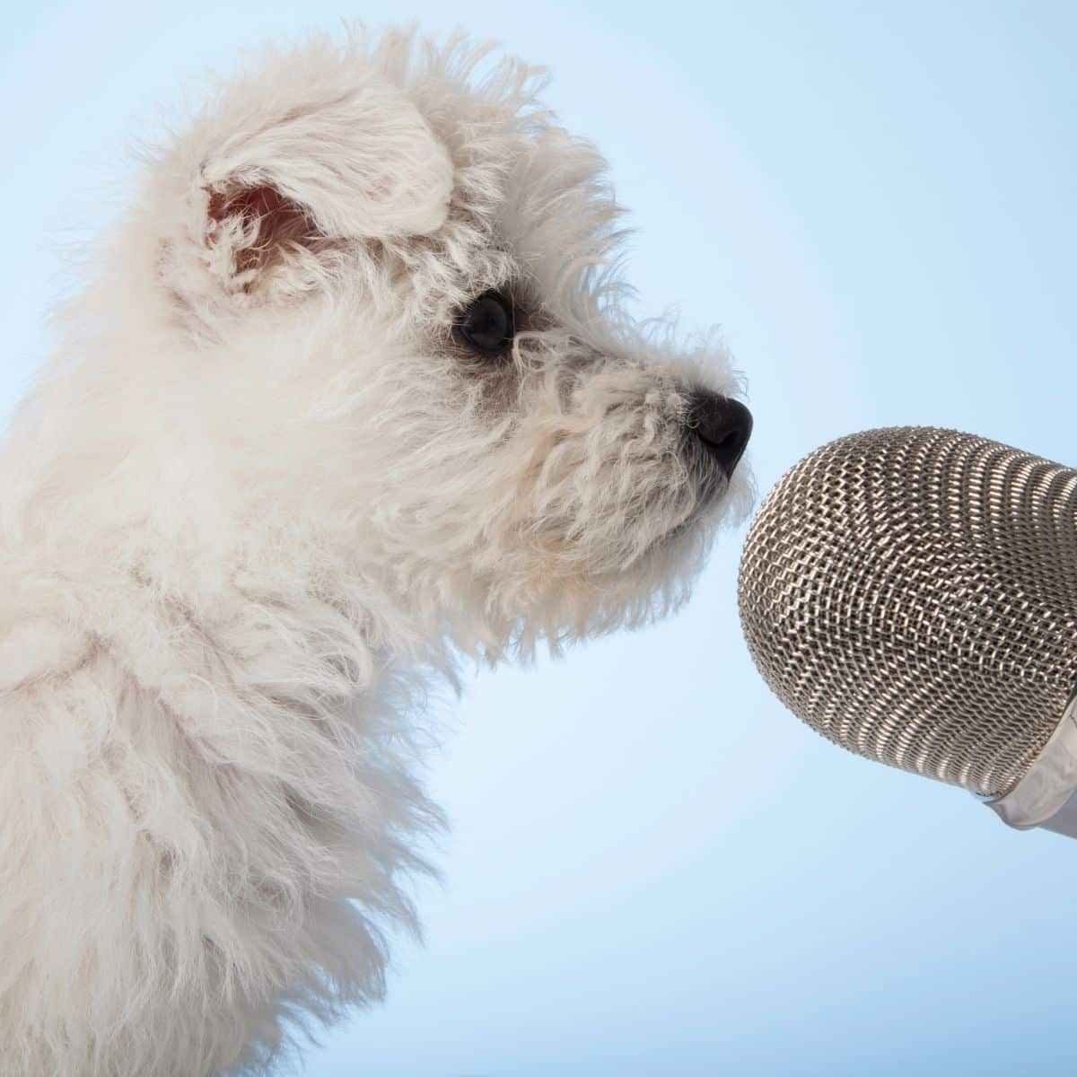 tutti possono cantare